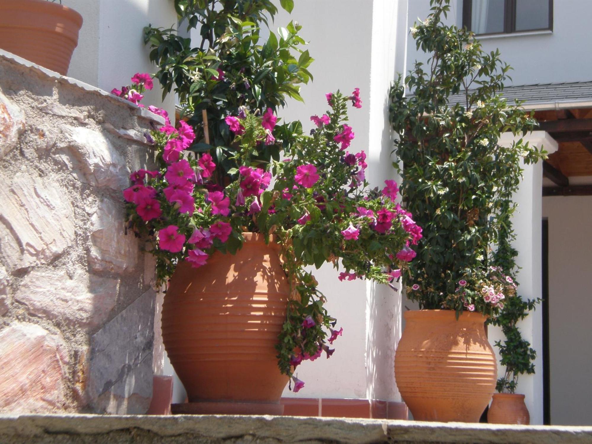 Hotel Pelion Resort Portaria  Exterior photo